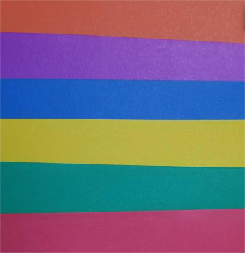Coloured Pocket Folder