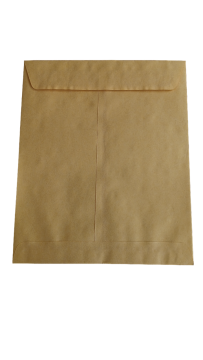 Envelope (12 x 10)